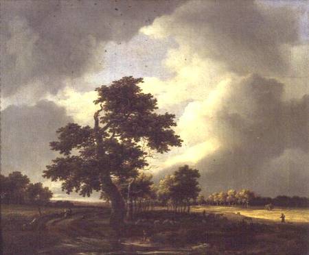 Landscape with Shepherd od Jacob Salomonsz. Ruysdael