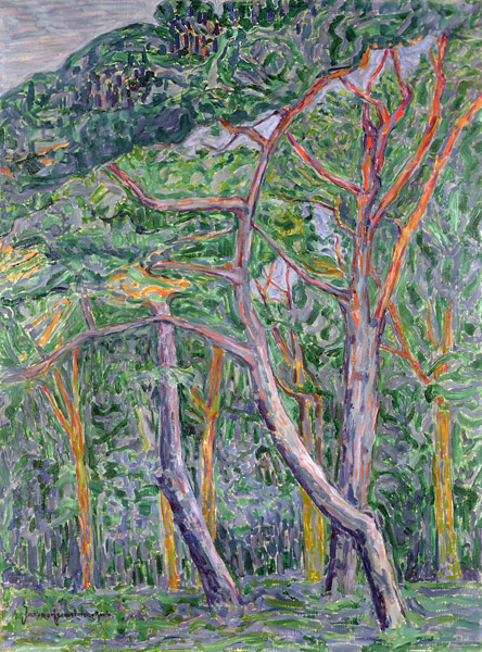 Pine Trees od Jacoba van Heemskerck