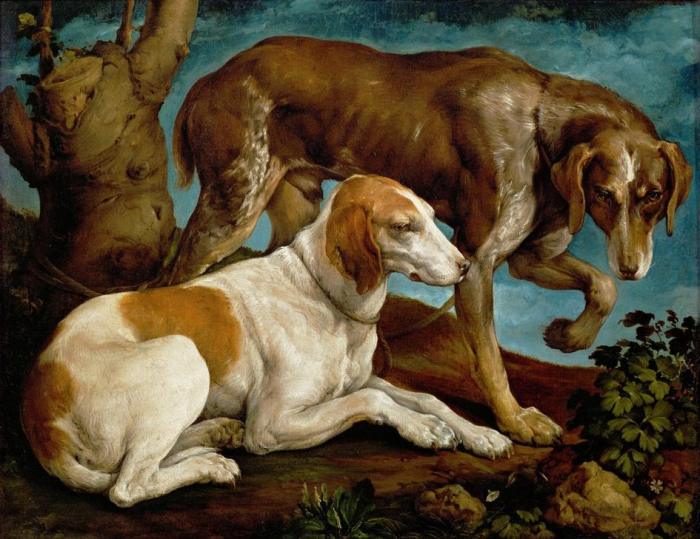 Zwei Jagdhunde, an einen Baumstumpf gebunden od Jacopo Bassano
