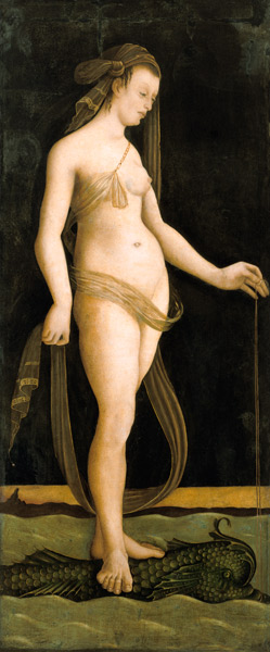 Galathea, on a dolphin standing. od Jacopo de Barbari