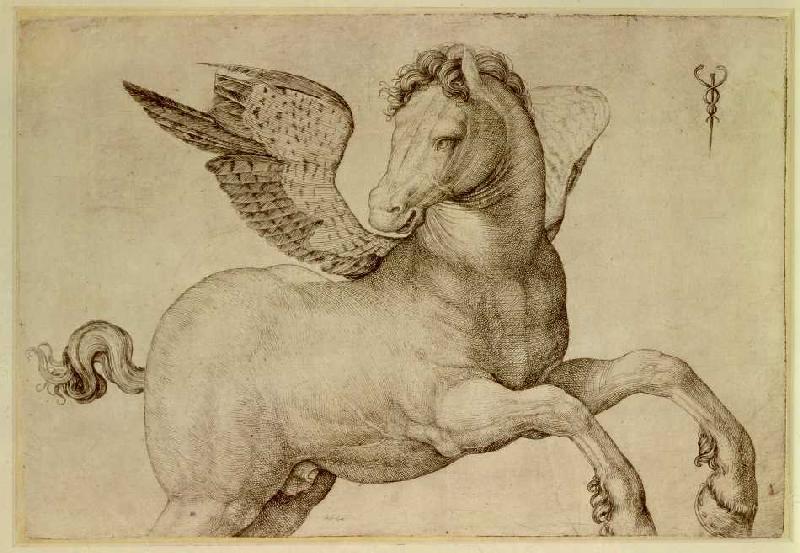 Pegasus. od Jacopo de Barbari
