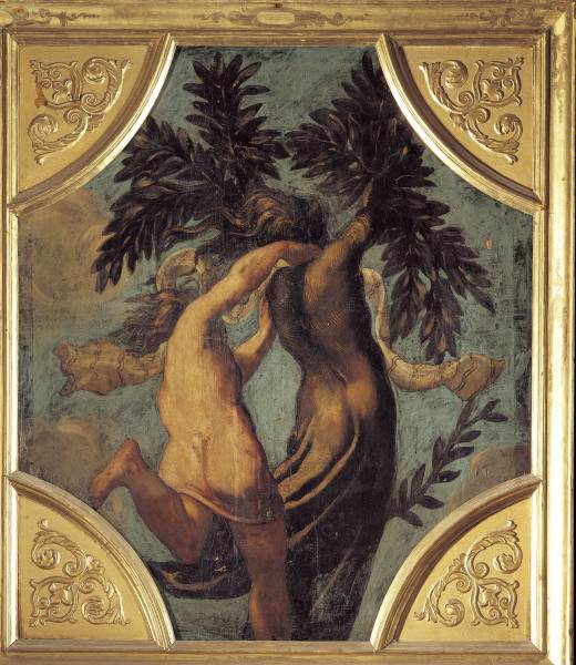 Tintoretto / Apollo and Daphne od Jacopo Robusti Tintoretto