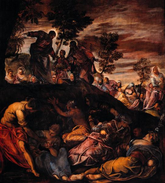 Tintoretto, Miracle of Loaves od Jacopo Robusti Tintoretto