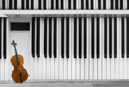 Cello at the Door