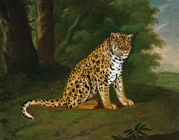 A Leopard in a landscape od Jacques-Laurent Agasse