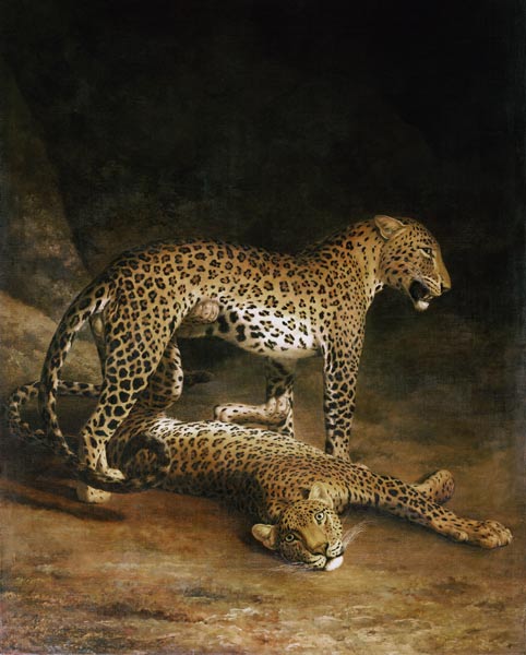Two Leopards Lying In The Exeter Exchange od Jacques-Laurent Agasse