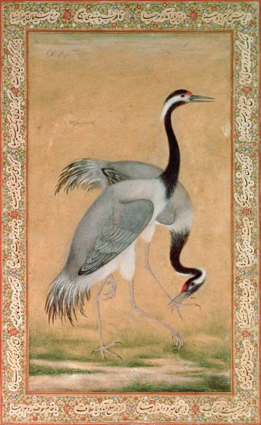 Cranes od Jahangir Period Mansur