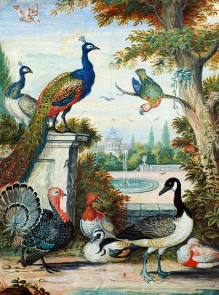 Exotic Birds and Domestic Fowl in a Picturesque Park od Jakab Bogdány