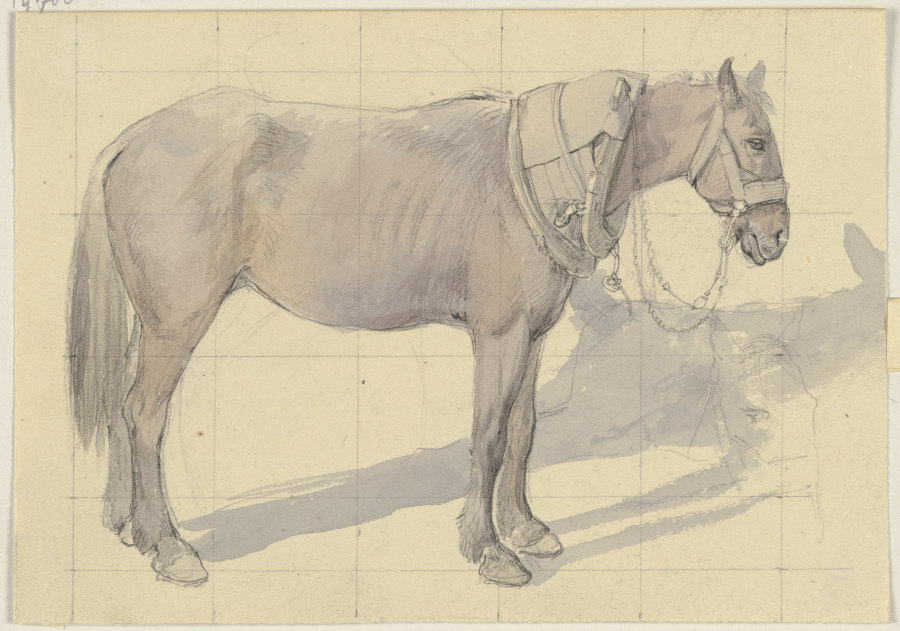 Bridled horse od Jakob Becker
