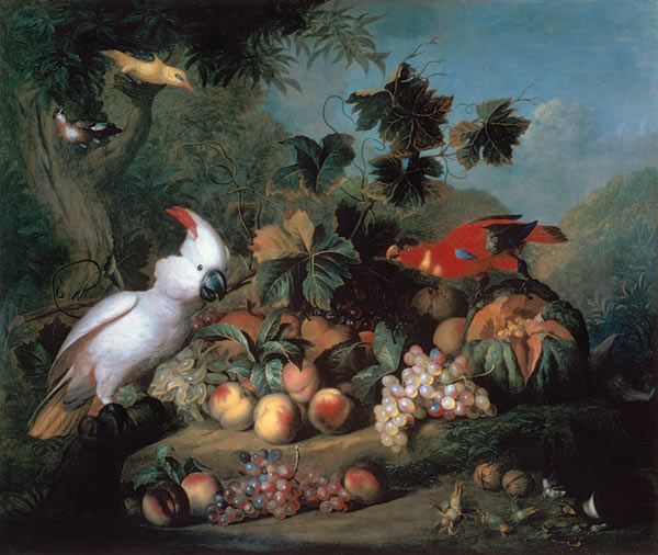 Fruit and Birds od Jakob Bogdani or Bogdany