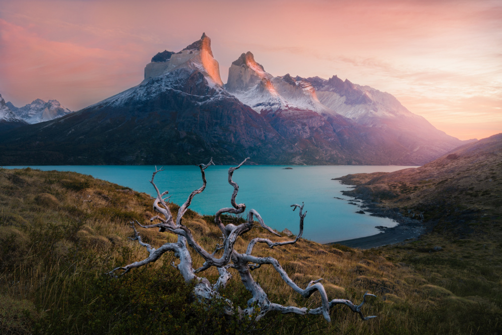 Morning in Torres del Paine od James Cai