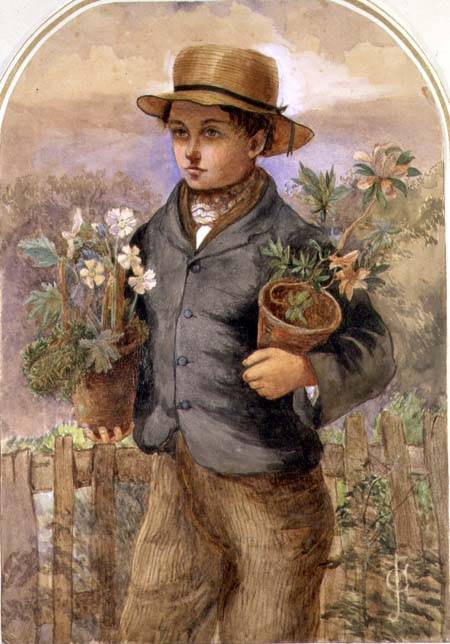 Garden Boy od James Collinson