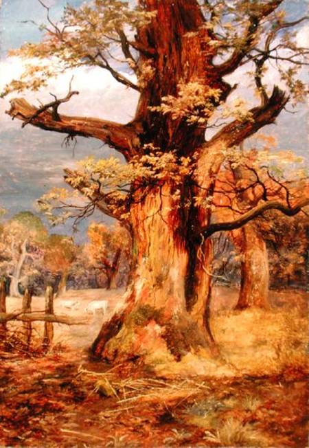 Blasted Oak, Galloway od James Jnr Faed