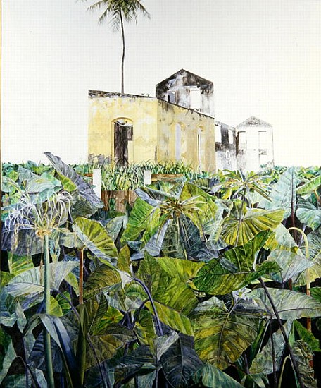 Ruin in a Swamp, Haiti, 1971 (oil on canvas)  od  James  Reeve