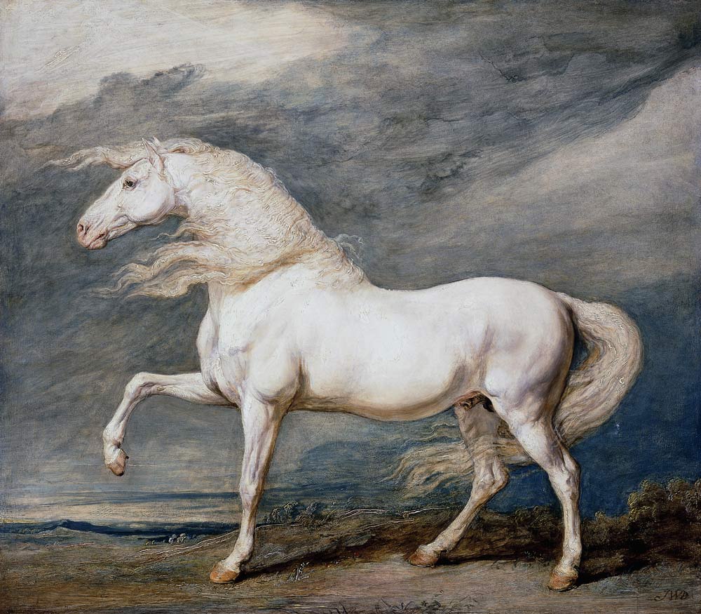 White Stallion od James Ward