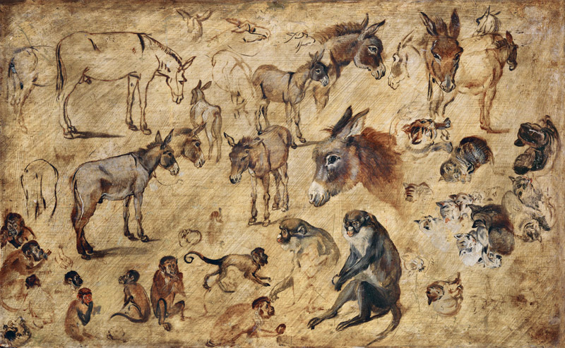 Animal Study od Jan Brueghel d. Ä.