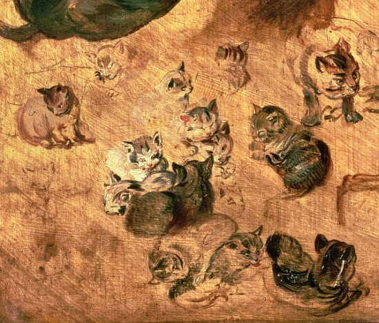 Study of cats, 1616 (detail of 65879) od Jan Brueghel d. Ä.