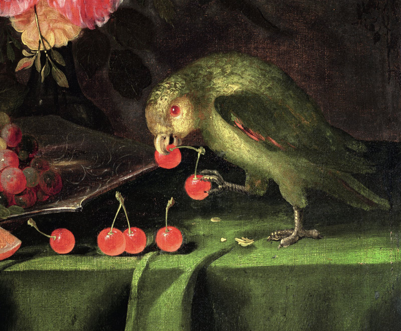 Still Life of Fruit and Flowers, detail of a Parrot od Jan Davidsz de Heem