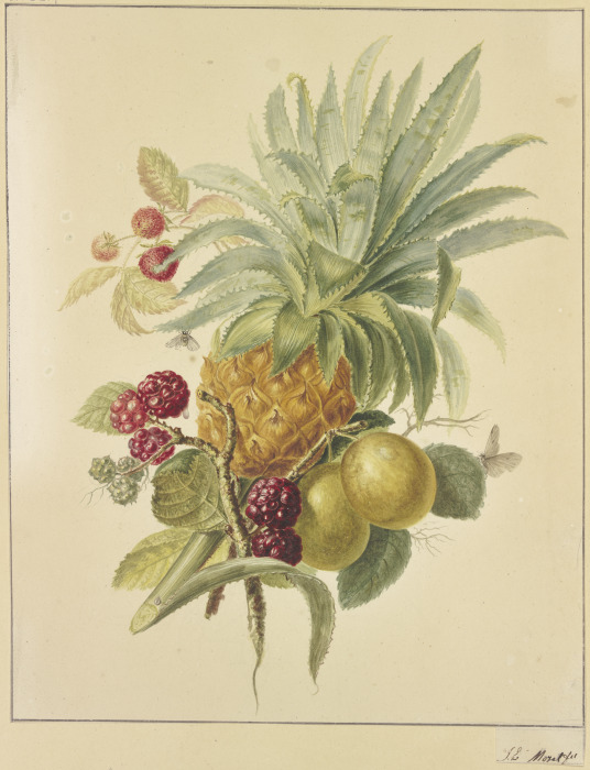 Eine Ananas, Pflaumen und Himbeeren od Jan Evert Morel