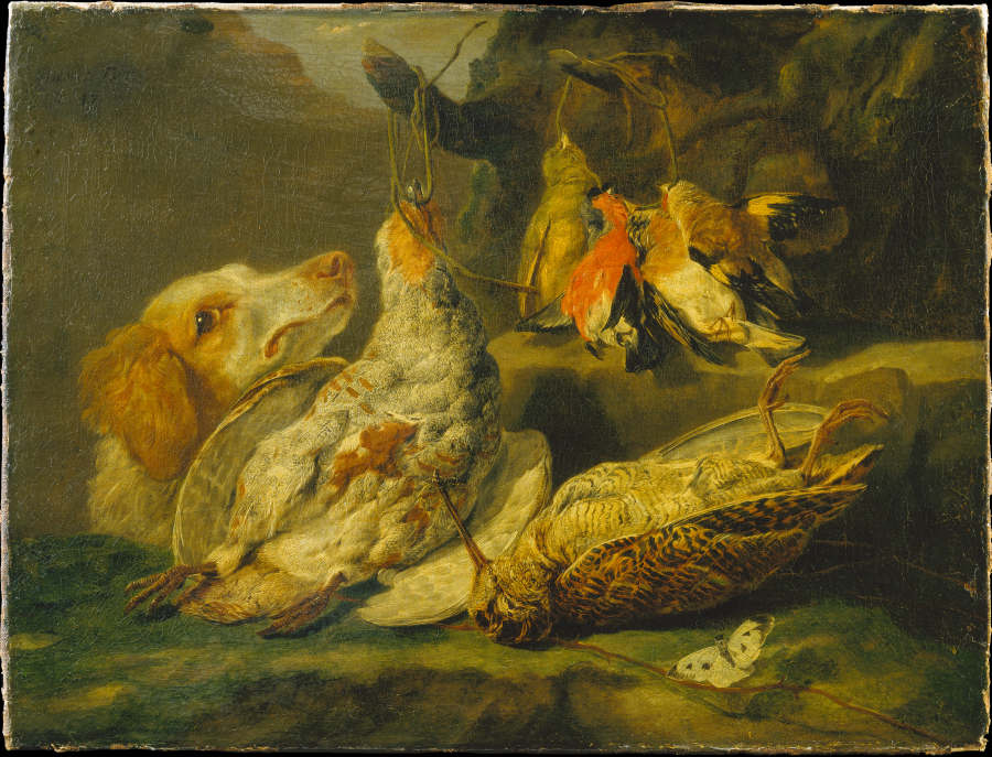 Still Life with Hunting Dog and Dead Fowl od Jan Fyt