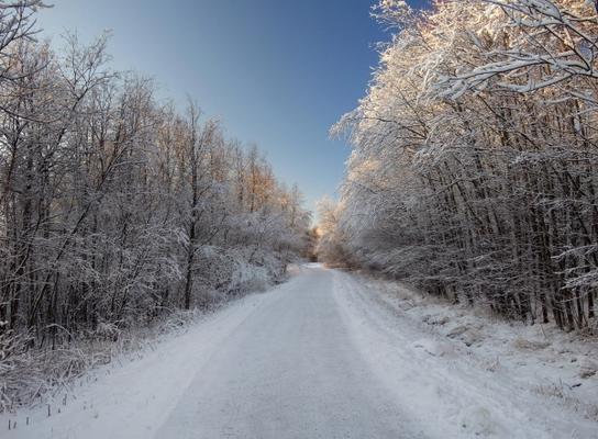 Weg im Schnee od Jan Philipp Dietrich