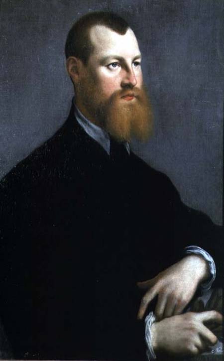 Portrait of a man with a ginger beard od Jan Stephen Calcar
