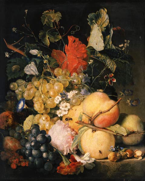 Fruits, flowers and insects od Jan van Huysum