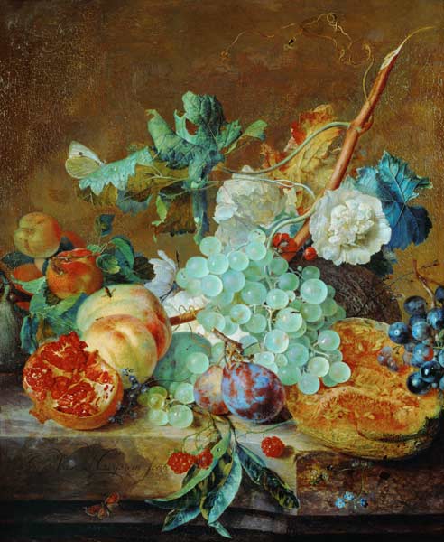 Flowers and Fruit od Jan van Huysum