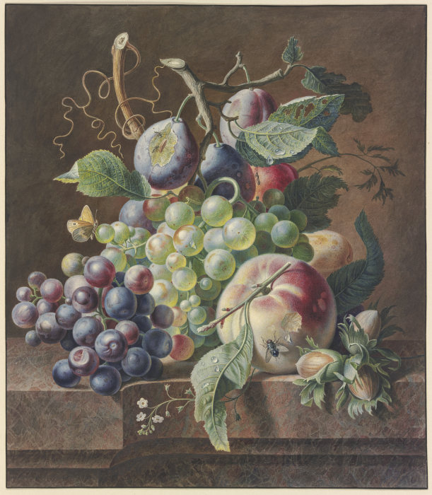 Früchtestück mit Pfirsich, Haselnuss,Trauben und Pflaumen od Jan van Huysum