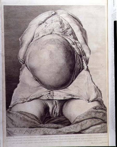 Anatomical drawing of the abdomen of a pregnant female human with skin peeled back od Jan van Rymsdyk