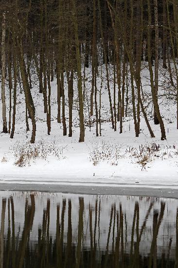 Die Zschopau im Winter od Jan Woitas