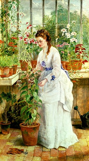 Young Lady in a Conservatory od Jane Maria Bowkett