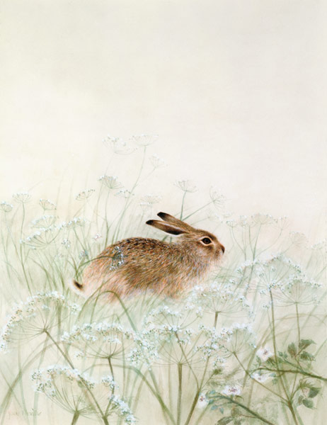 Rabbit  od Jane  Neville