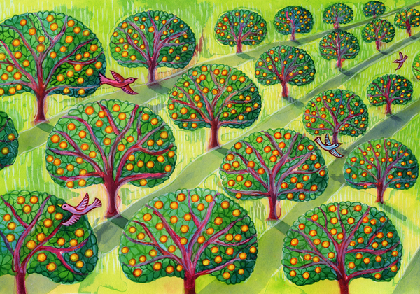 Orchard od Jane Tattersfield