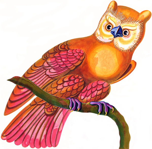 owl od Jane Tattersfield