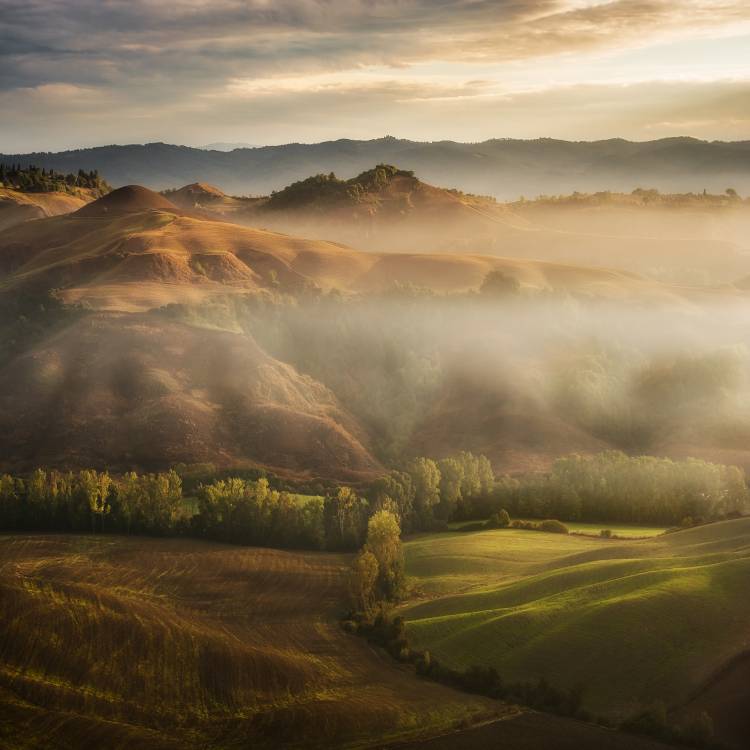 Mystical Waving Fields Tuscany od Jarek Pawlak