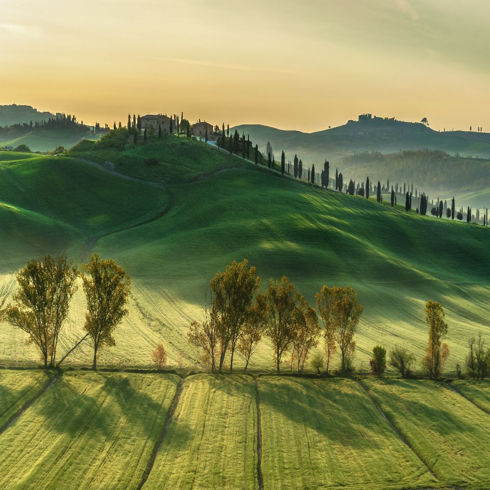 Sunny Tuscany od Jarek Pawlak