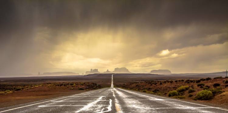 Strom in Monument Valley od Javier De la