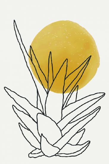 Abstract Agave Sunshine #2