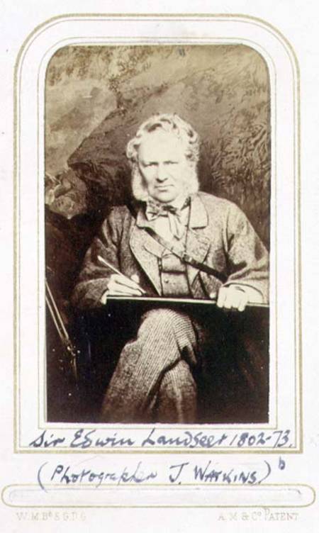 Portrait of Sir Edwin Landseer (1802-73) (albumen print) od J.C. Watkins