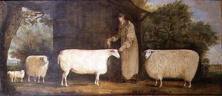 A Shepherd with his Flock od J.D. Curtis