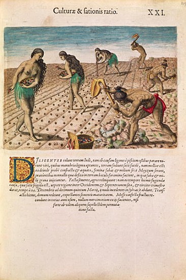 Florida Indians planting maize, from ''Brevis Narratio...'', published Theodore de Bry, 1591(see als od J.(de Morgues) Bry Th. (1528-98) after Le Moyne