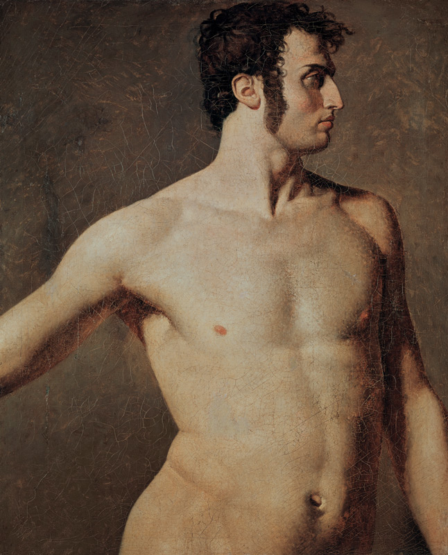 Male Torso od Jean Auguste Dominique Ingres