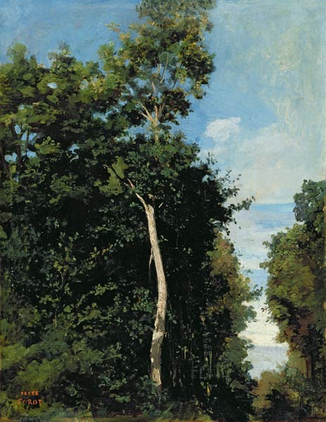 The Wood on the Cote de Grace in Honfleur od Jean-Babtiste-Camille Corot