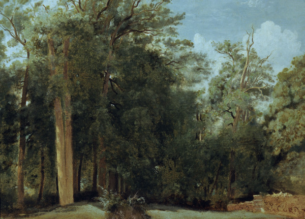 Forest Claring od Jean-Babtiste-Camille Corot