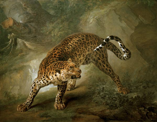 Leopard od Jean Baptiste Oudry