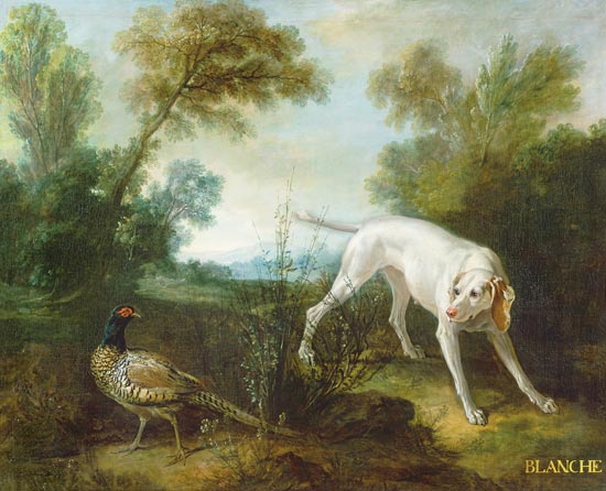 Blanche, Bitch of the Royal Hunting Pack od Jean Baptiste Oudry