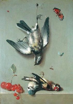Still Life of Dead Birds and Cherries