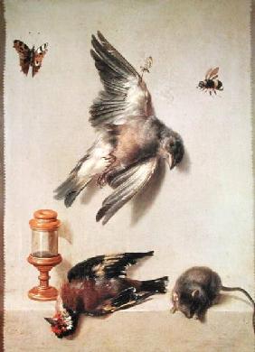 Still Life of Dead Birds and a Mouse