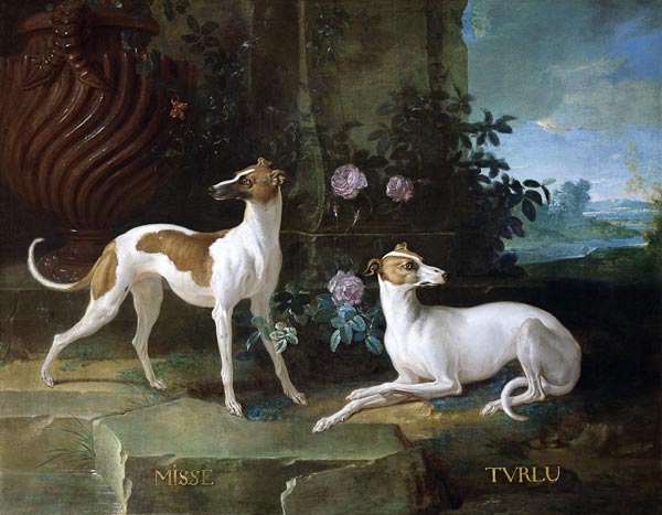 Misse and Turlu, two greyhounds of Louis XV od Jean Baptiste Oudry